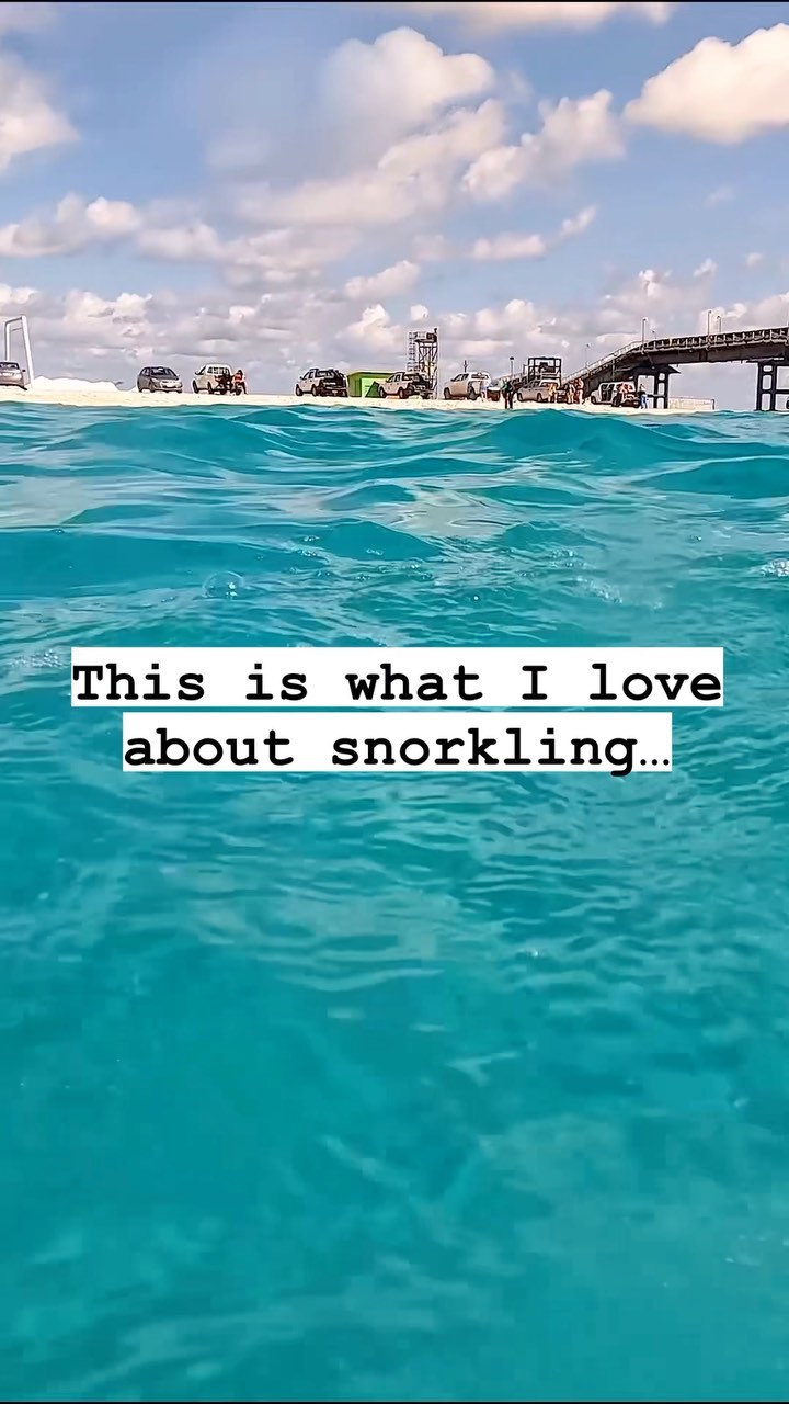 https://d2zmqyh8caa94h.cloudfront.net/creator_social_media_contents/instagram/reels/CoF89Ybocfx/CoF89Ybocfx.mp4