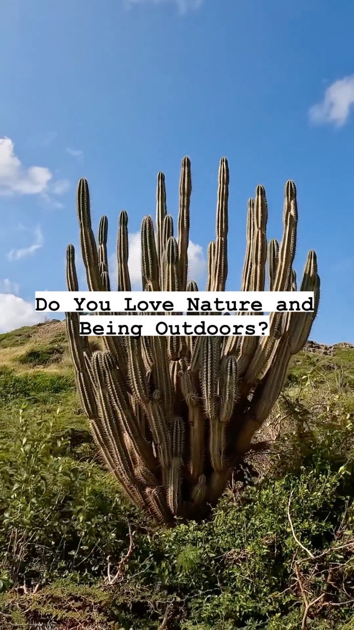 https://d2zmqyh8caa94h.cloudfront.net/creator_social_media_contents/instagram/reels/CoNojJ2oSTq/CoNojJ2oSTq.mp4