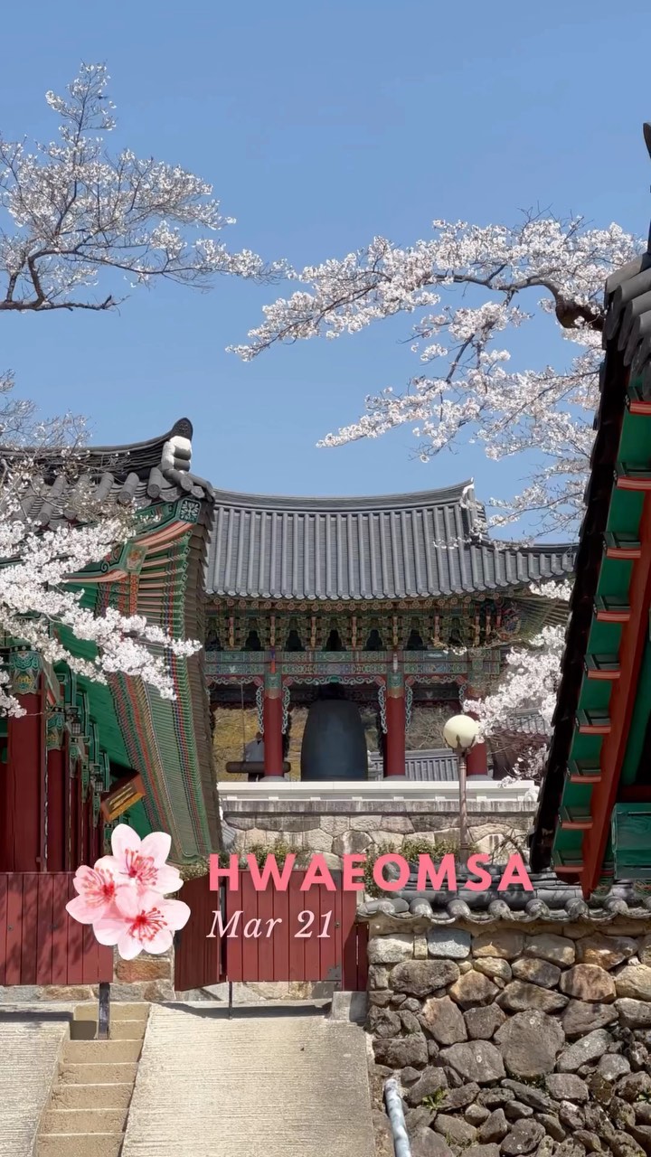 https://d2zmqyh8caa94h.cloudfront.net/creator_social_media_contents/instagram/reels/CozXsdQJfg1/CozXsdQJfg1.mp4