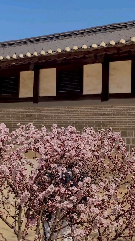 https://d2zmqyh8caa94h.cloudfront.net/creator_social_media_contents/instagram/reels/CqWeXkjMFnc/CqWeXkjMFnc.mp4