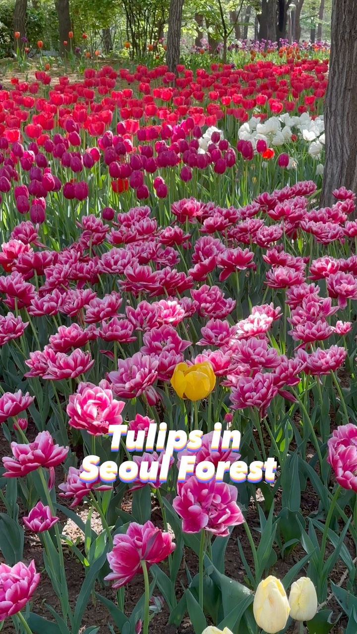 https://d2zmqyh8caa94h.cloudfront.net/creator_social_media_contents/instagram/reels/Criuv3KJPOz/Criuv3KJPOz.mp4