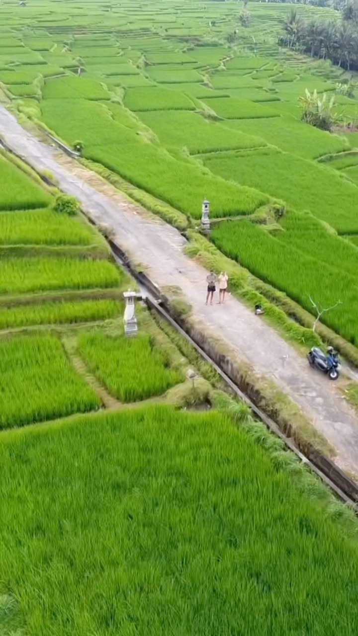 https://d2zmqyh8caa94h.cloudfront.net/creator_social_media_contents/instagram/reels/Cx1ChxQojvD/Cx1ChxQojvD.mp4