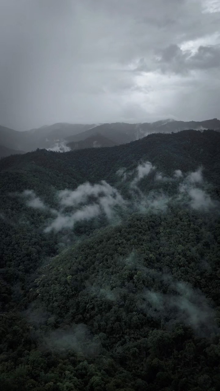 https://d2zmqyh8caa94h.cloudfront.net/creator_social_media_contents/instagram/reels/CxAhyeSvlir/CxAhyeSvlir.mp4