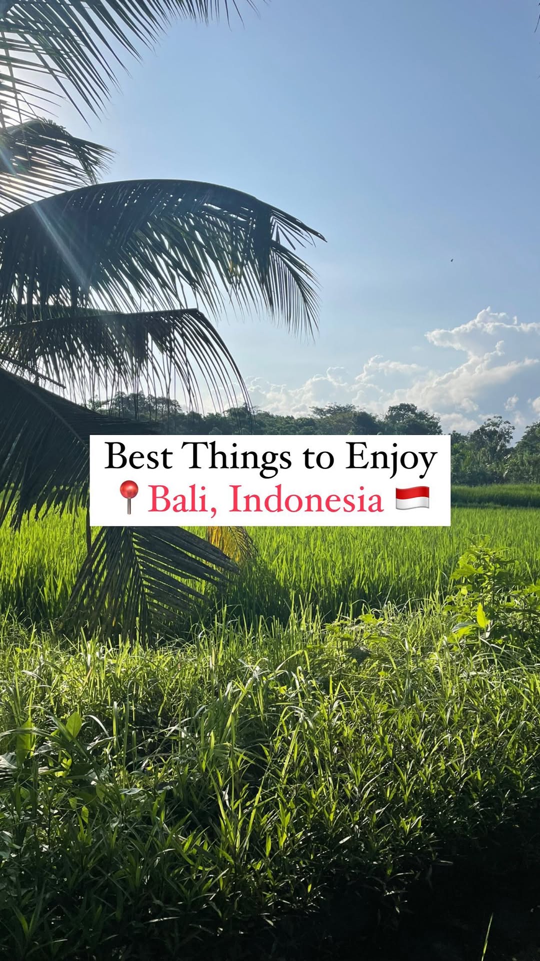 https://d2zmqyh8caa94h.cloudfront.net/creator_social_media_contents/instagram/reels/CxOZjTvo6No/CxOZjTvo6No.mp4