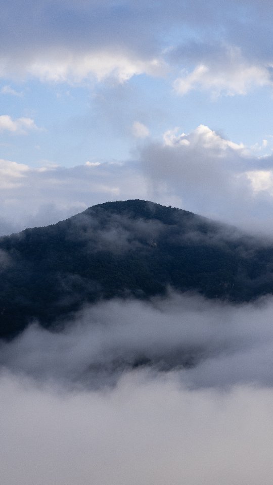 https://d2zmqyh8caa94h.cloudfront.net/creator_social_media_contents/instagram/reels/CyedJLzhL2N/CyedJLzhL2N.mp4