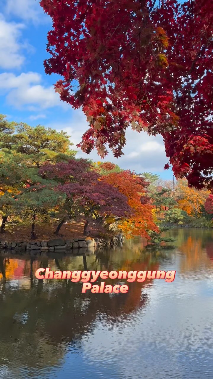https://d2zmqyh8caa94h.cloudfront.net/creator_social_media_contents/instagram/reels/CytCMTULOPJ/CytCMTULOPJ.mp4