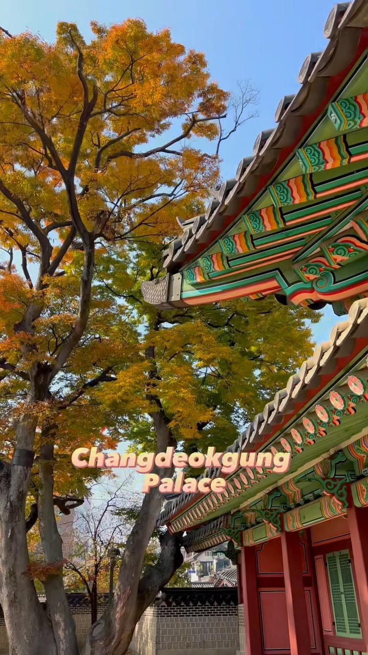 https://d2zmqyh8caa94h.cloudfront.net/creator_social_media_contents/instagram/reels/CyvsOYprdNk/CyvsOYprdNk.mp4