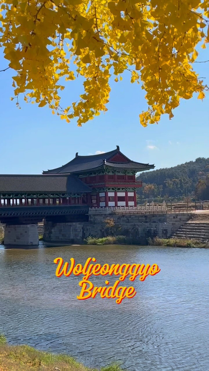 https://d2zmqyh8caa94h.cloudfront.net/creator_social_media_contents/instagram/reels/CzjCVDFJekH/CzjCVDFJekH.mp4