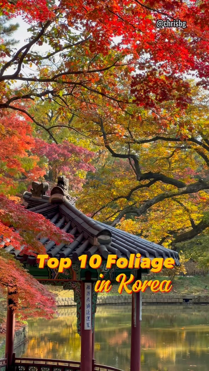 https://d2zmqyh8caa94h.cloudfront.net/creator_social_media_contents/instagram/reels/CzlnvY6pwwR/CzlnvY6pwwR.mp4