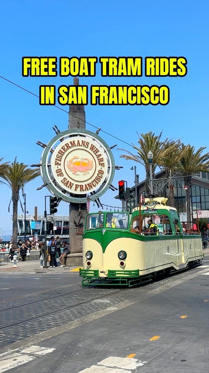 zorymory, PIER 39