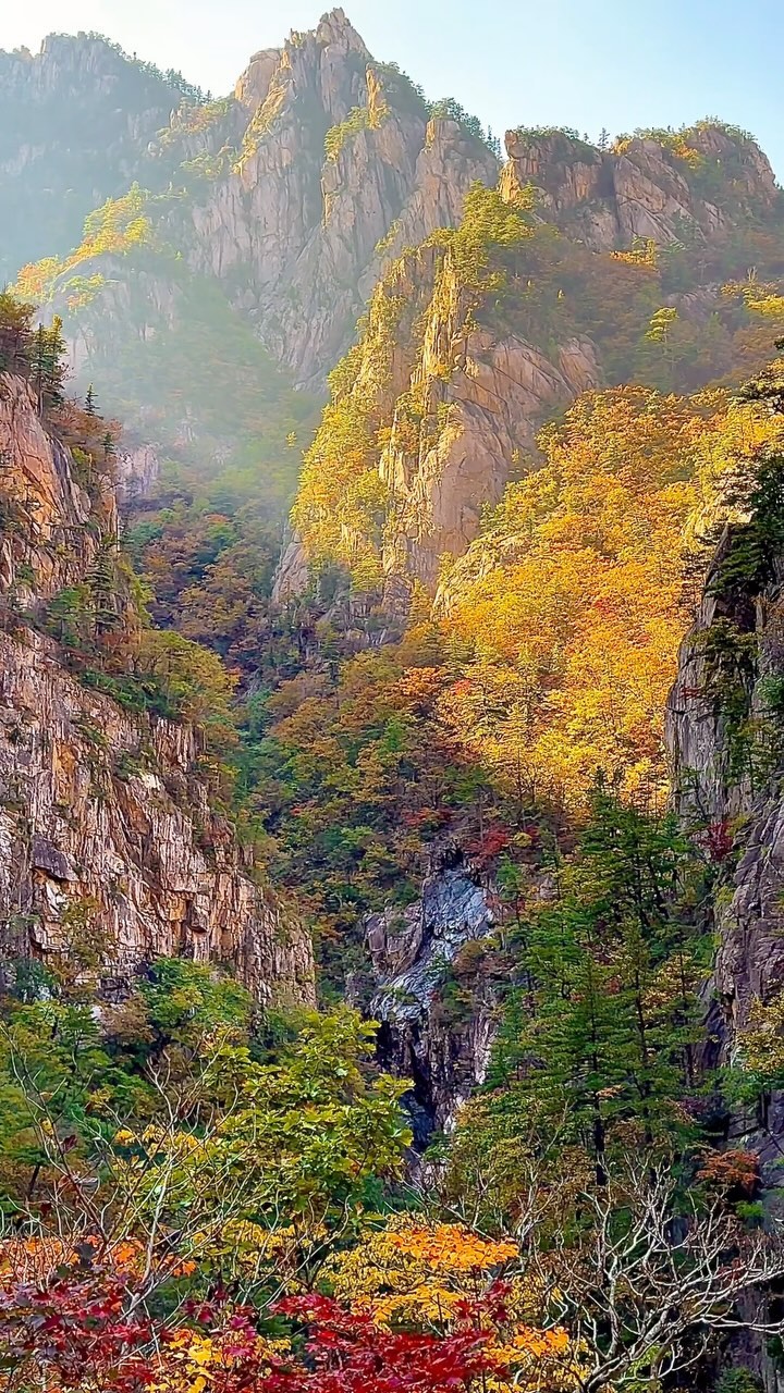 https://d2zmqyh8caa94h.cloudfront.net/creator_social_media_contents/instagram/reels/DBGNG3hvtLQ/DBGNG3hvtLQ.mp4