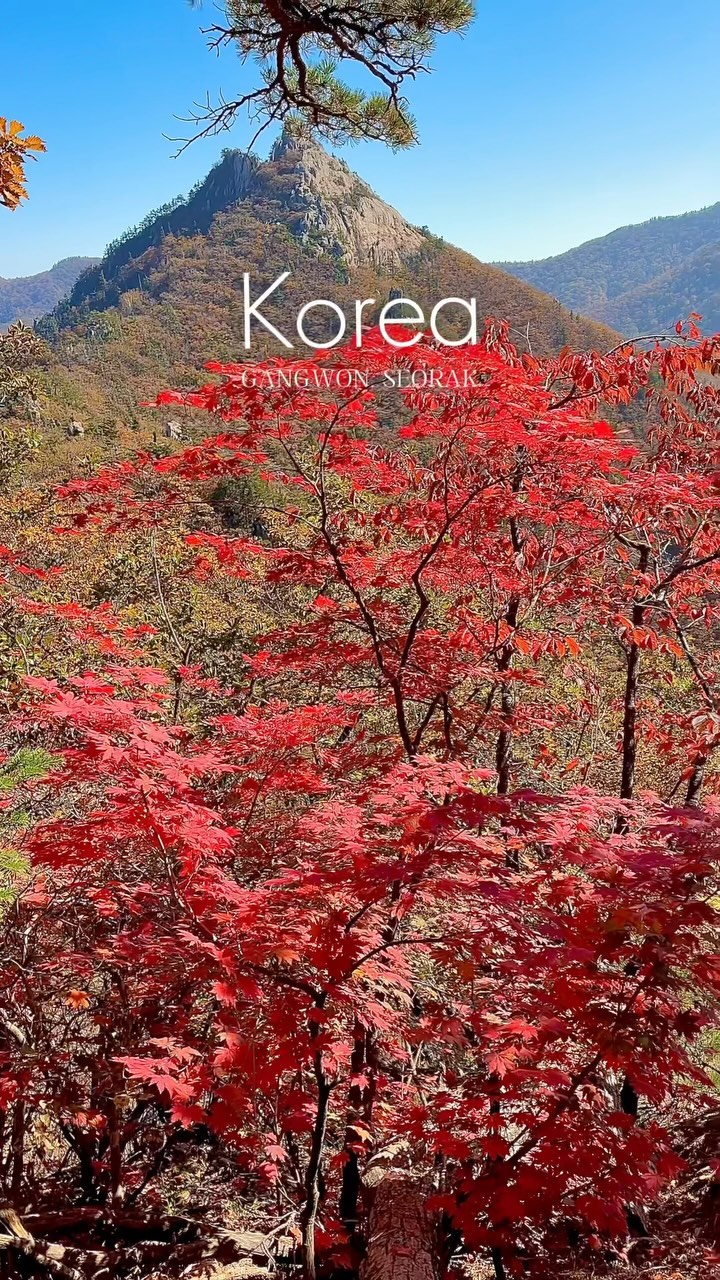https://d2zmqyh8caa94h.cloudfront.net/creator_social_media_contents/instagram/reels/DBP9VQYPAI3/DBP9VQYPAI3.mp4