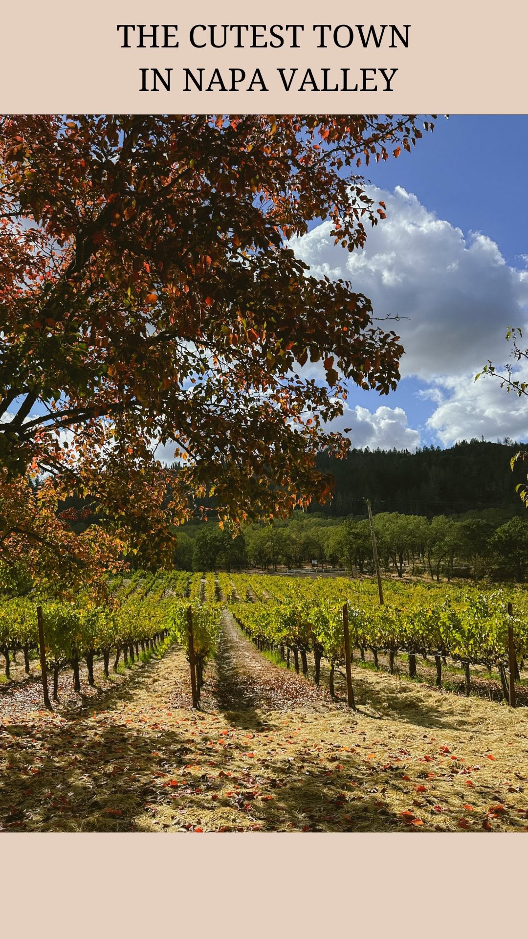 discoveroverthere, Calistoga