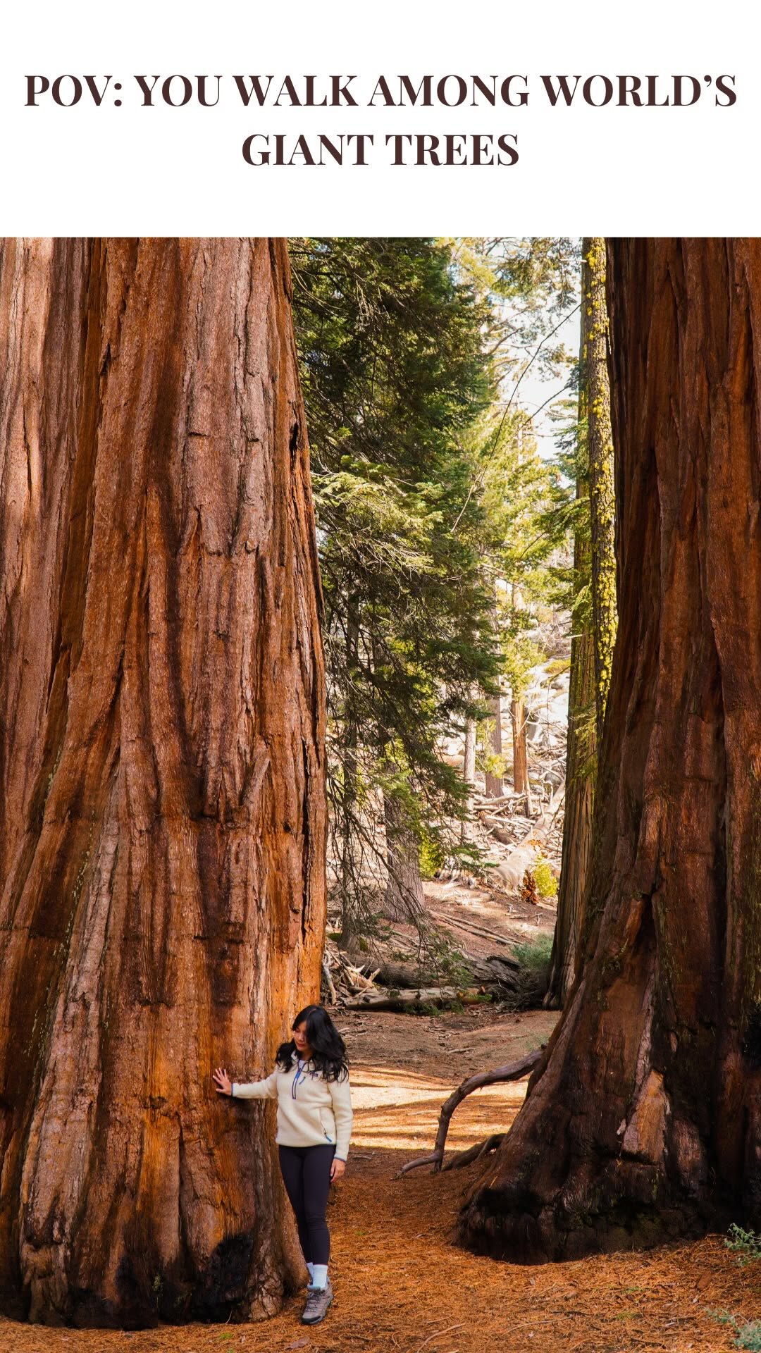 lisarosaa, Sequoia & Kings Canyon National Parks