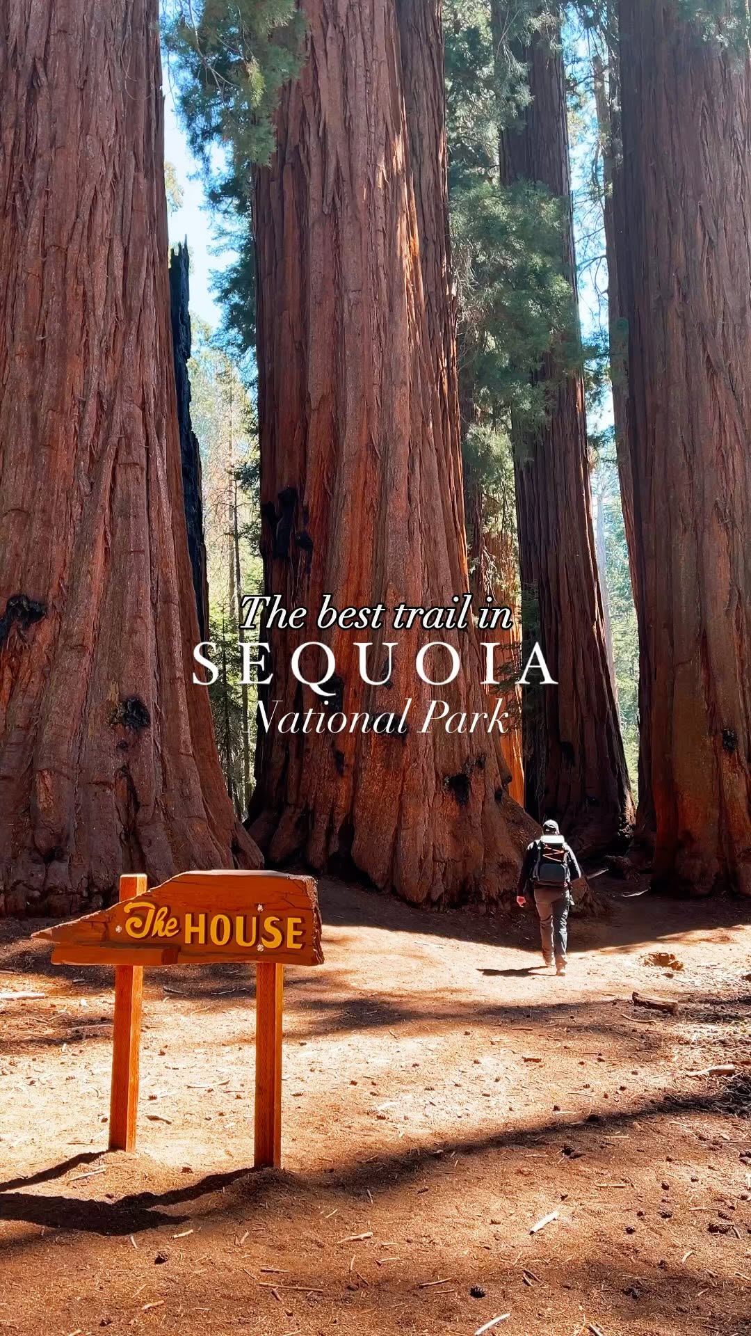 tworoamtheworld, Sequoia National Park