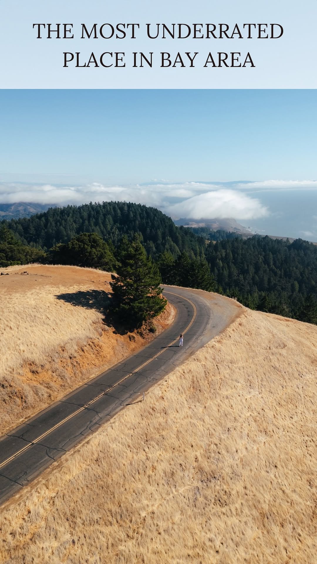 elinaways, Mount Tamalpais State Park