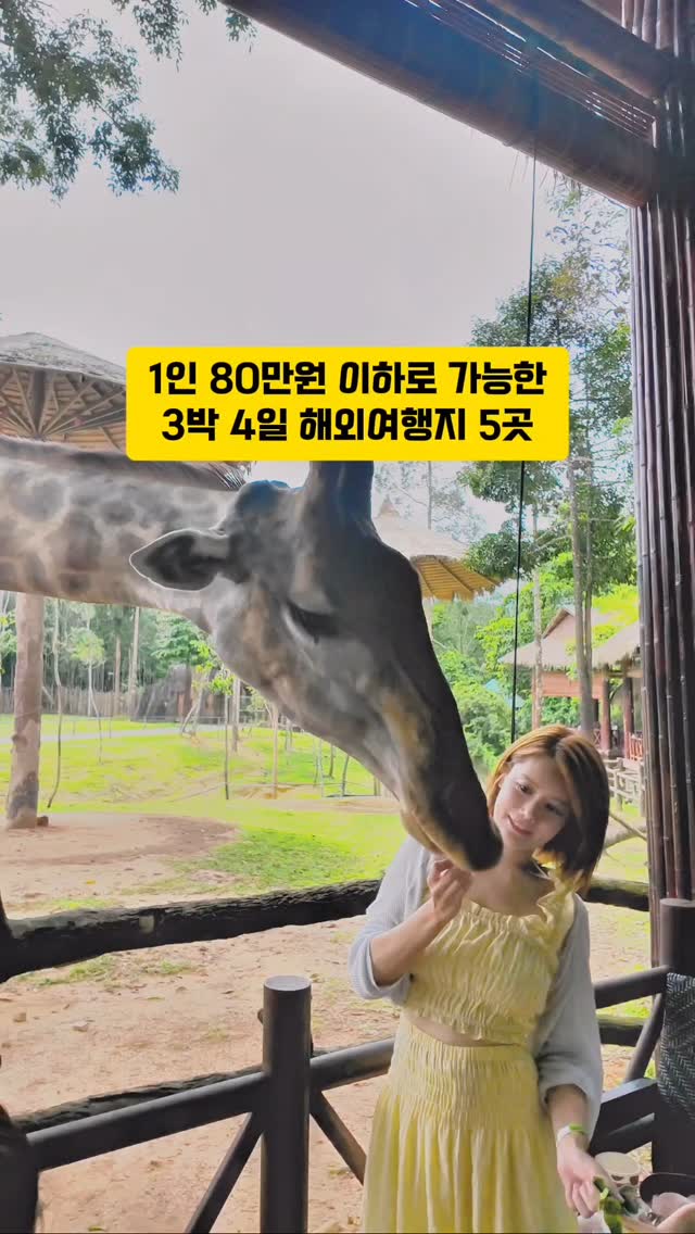 https://d2zmqyh8caa94h.cloudfront.net/creator_social_media_contents/instagram/reels/DEo4dzNTM_O/DEo4dzNTM_O.mp4