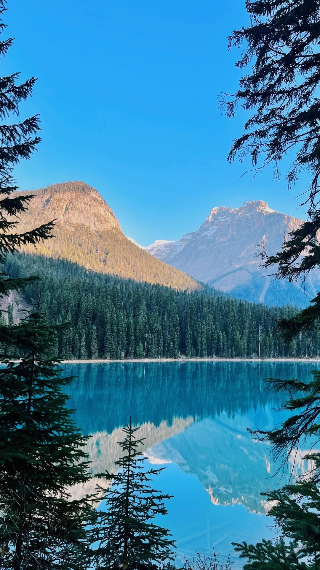 https://d2zmqyh8caa94h.cloudfront.net/creator_social_media_contents/instagram/reels/DGvvuAJsvT-/DGvvuAJsvT-.mp4