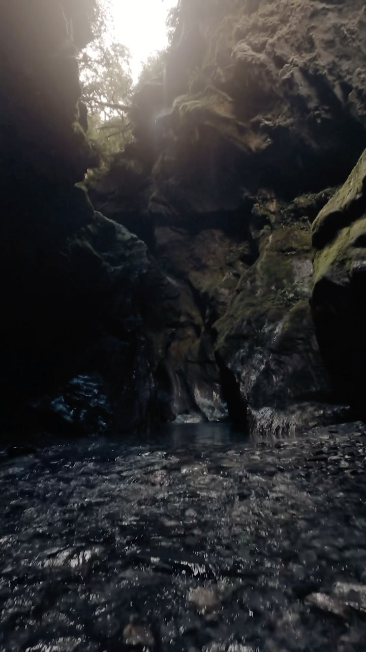 https://d2zmqyh8caa94h.cloudfront.net/creator_social_media_contents/instagram/reels/DH5ZZFLRoE0/DH5ZZFLRoE0.mp4