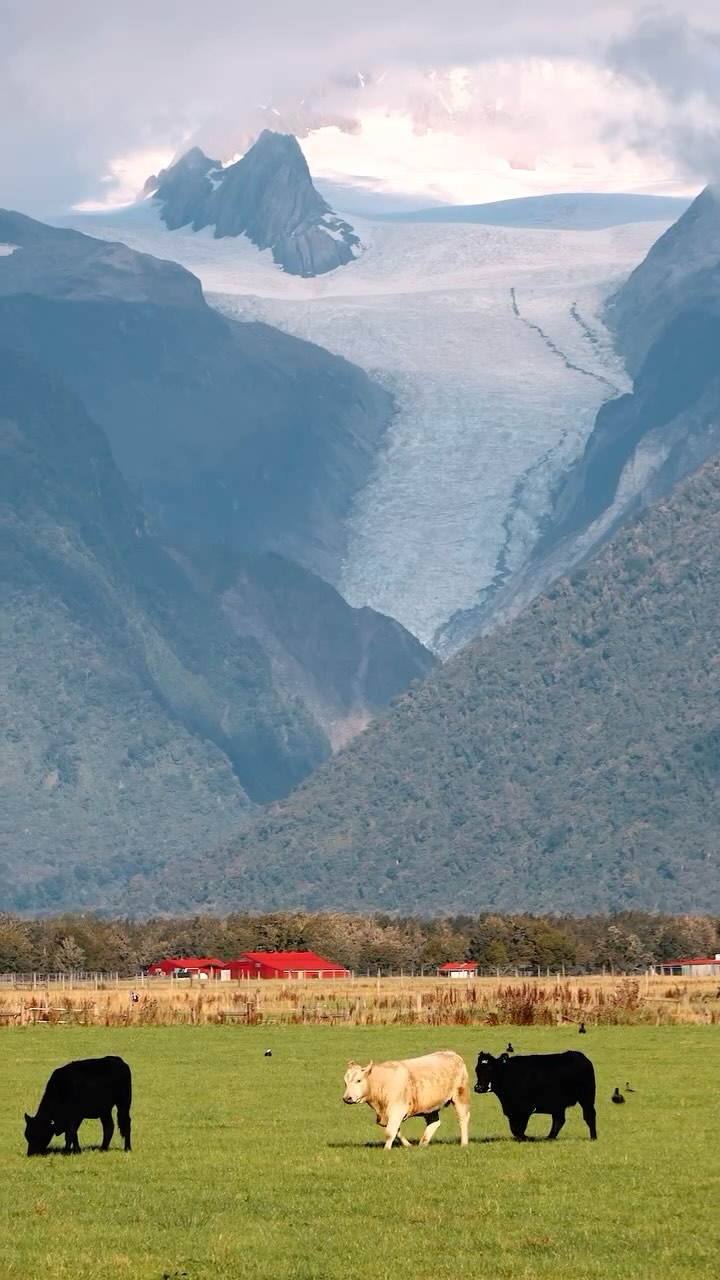 https://d2zmqyh8caa94h.cloudfront.net/creator_social_media_contents/instagram/reels/DHQCNG7xgxf/DHQCNG7xgxf.mp4