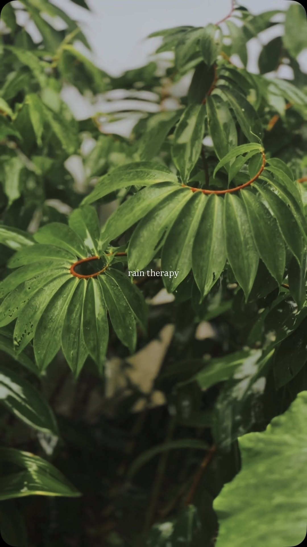 https://d2zmqyh8caa94h.cloudfront.net/creator_social_media_contents/instagram/reels/DHtfo5YPD63/DHtfo5YPD63.mp4