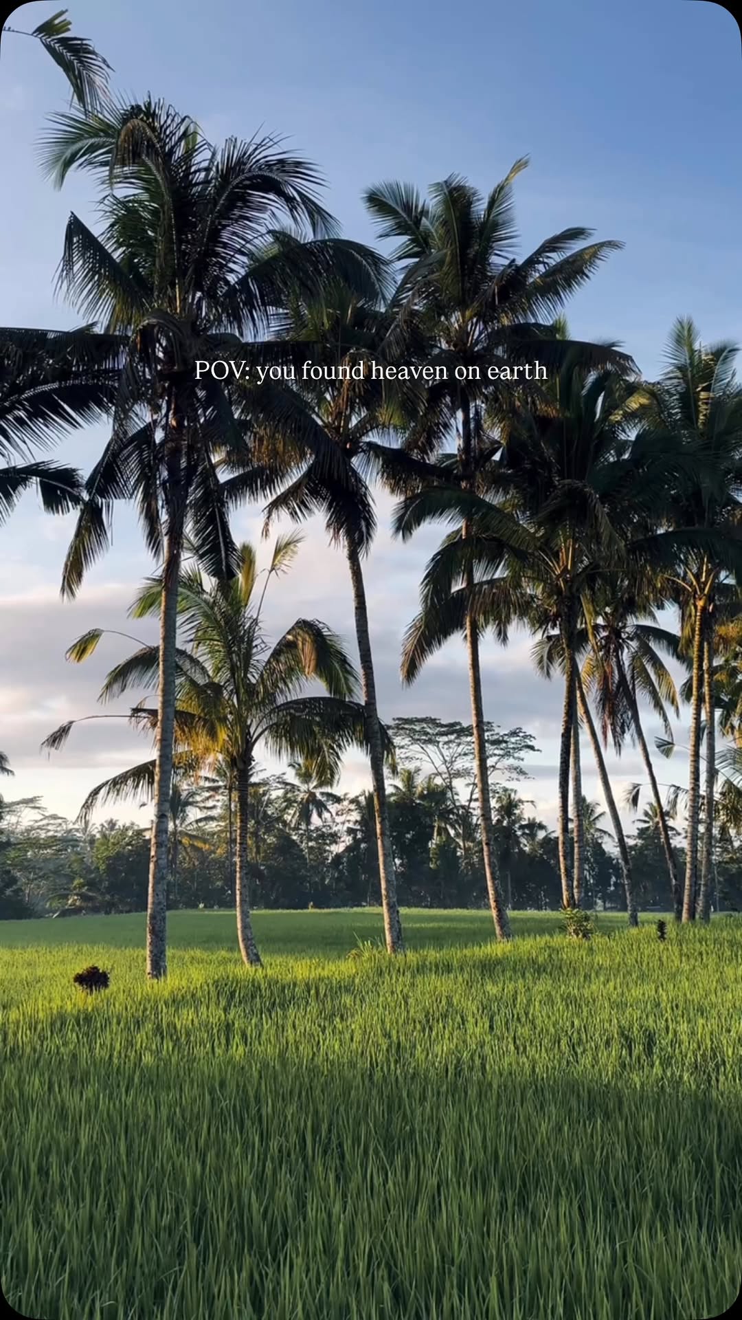 https://d2zmqyh8caa94h.cloudfront.net/creator_social_media_contents/instagram/reels/DIHV-NNzPK7/DIHV-NNzPK7.mp4