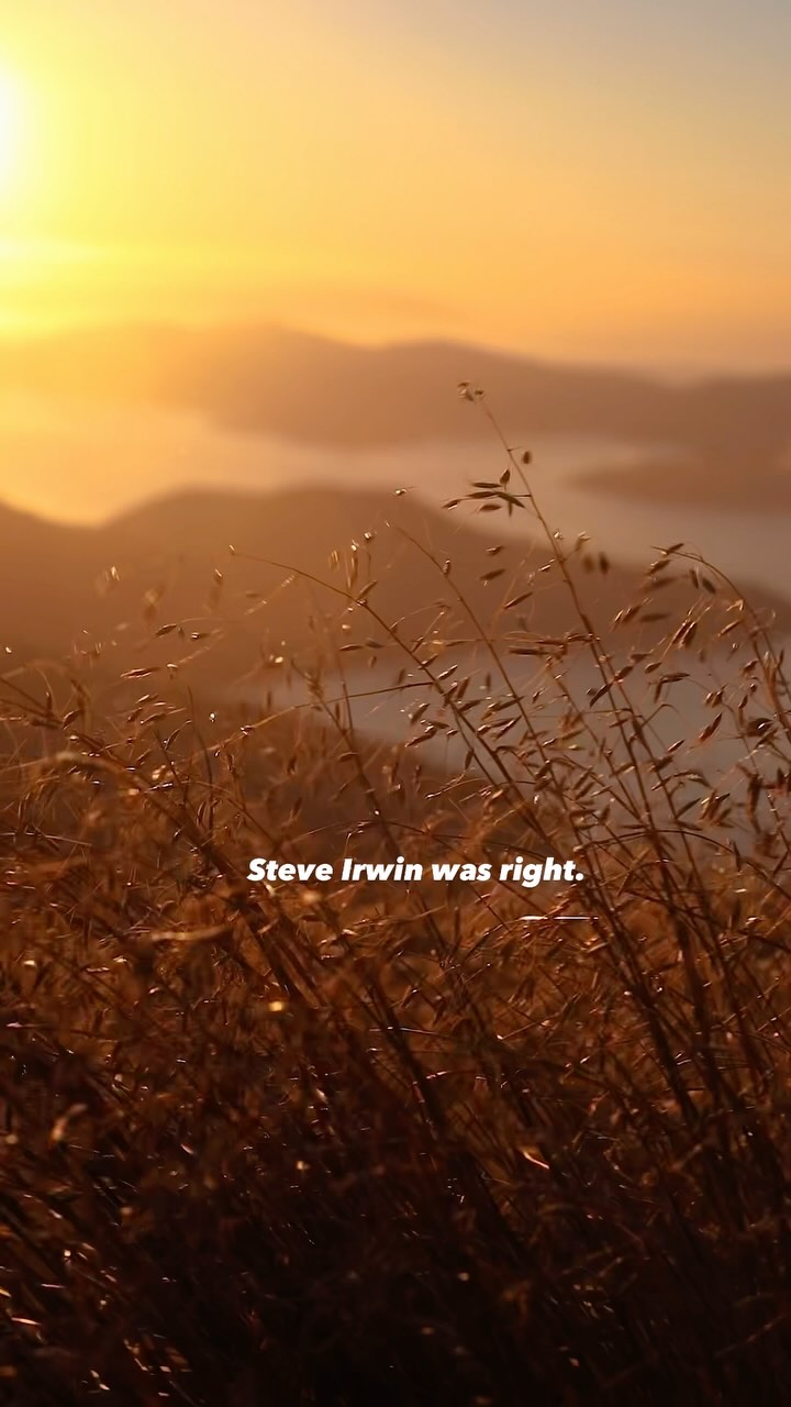 https://d2zmqyh8caa94h.cloudfront.net/creator_social_media_contents/instagram/reels/DIOIm7-StAm/DIOIm7-StAm.mp4