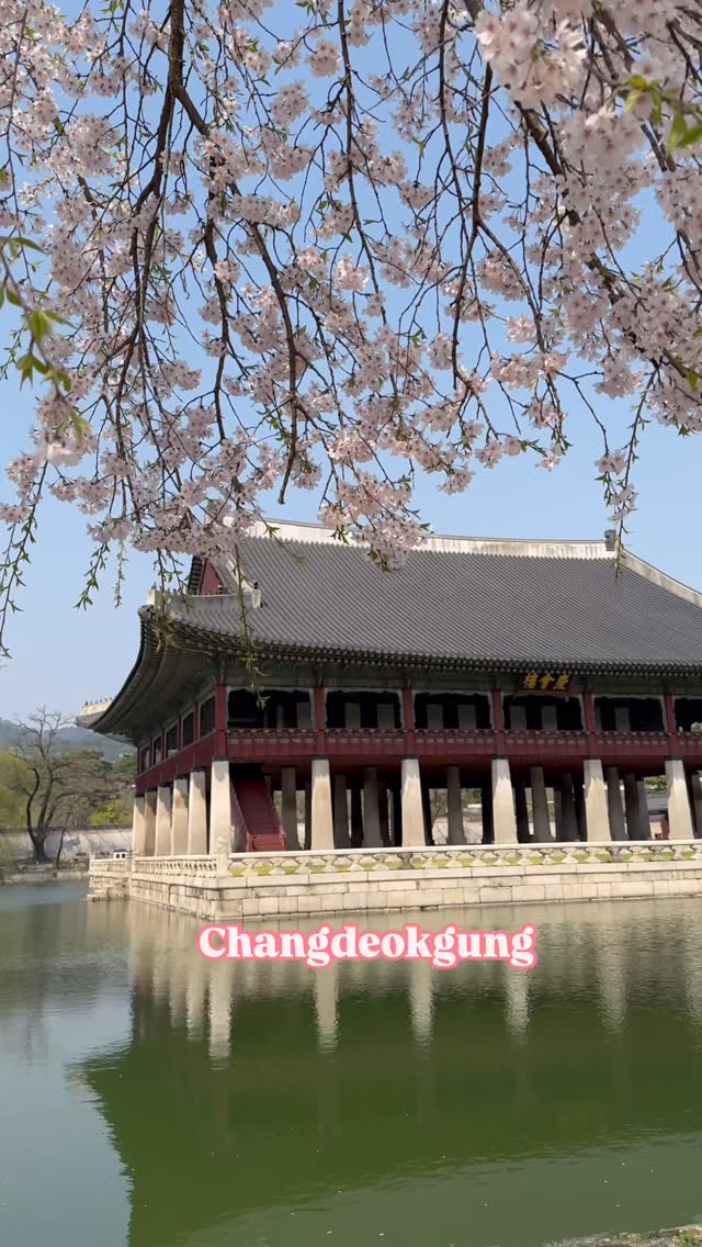 https://d2zmqyh8caa94h.cloudfront.net/creator_social_media_contents/instagram/reels/DITJcc-z3t8/DITJcc-z3t8.mp4