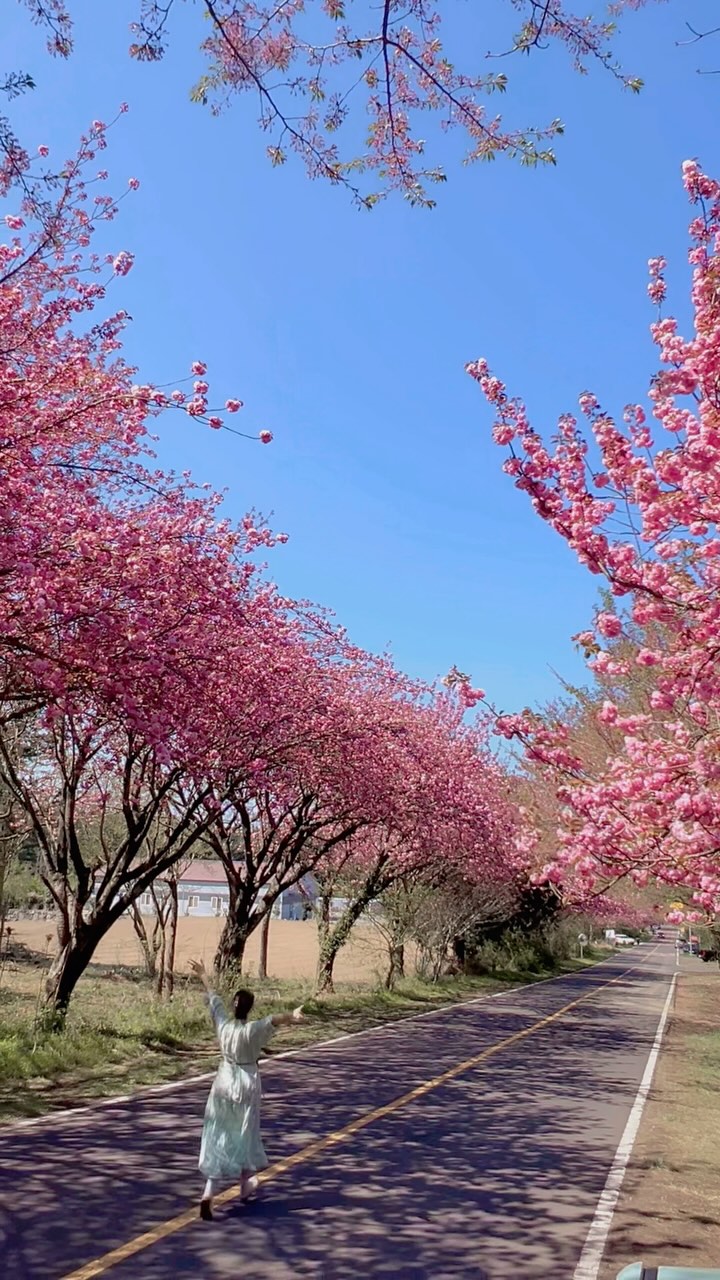 https://d2zmqyh8caa94h.cloudfront.net/creator_social_media_contents/instagram/reels/DIkUZx0SUen/DIkUZx0SUen.mp4