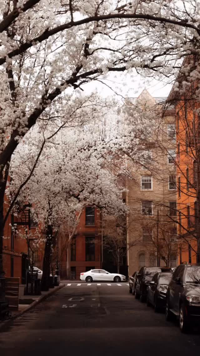 https://d2zmqyh8caa94h.cloudfront.net/creator_social_media_contents/instagram/reels/DIyq_ZvOJ36/DIyq_ZvOJ36.mp4