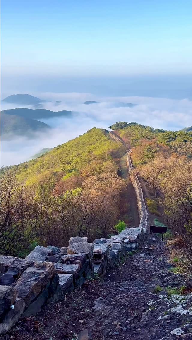 https://d2zmqyh8caa94h.cloudfront.net/creator_social_media_contents/instagram/reels/DJDfsJiPYwX/DJDfsJiPYwX.mp4