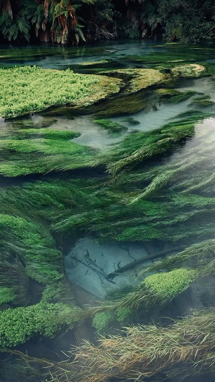 https://d2zmqyh8caa94h.cloudfront.net/creator_social_media_contents/instagram/reels/DKRJaq2yDef/DKRJaq2yDef.mp4