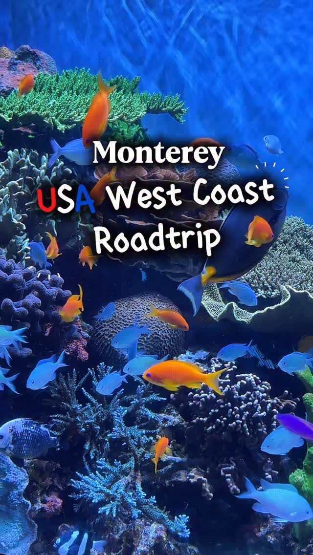 https://d2zmqyh8caa94h.cloudfront.net/creator_social_media_contents/instagram/reels/DKvid8gPVZl/DKvid8gPVZl.mp4