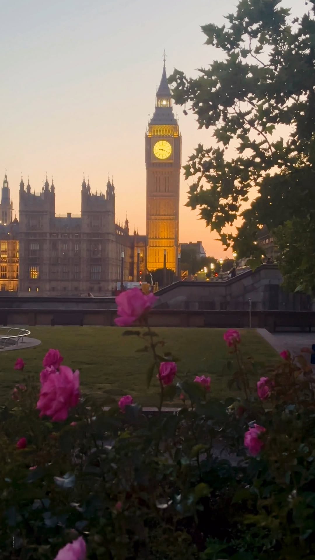 https://d2zmqyh8caa94h.cloudfront.net/creator_social_media_contents/instagram/reels/DLfZnk5t6Fz/DLfZnk5t6Fz.mp4