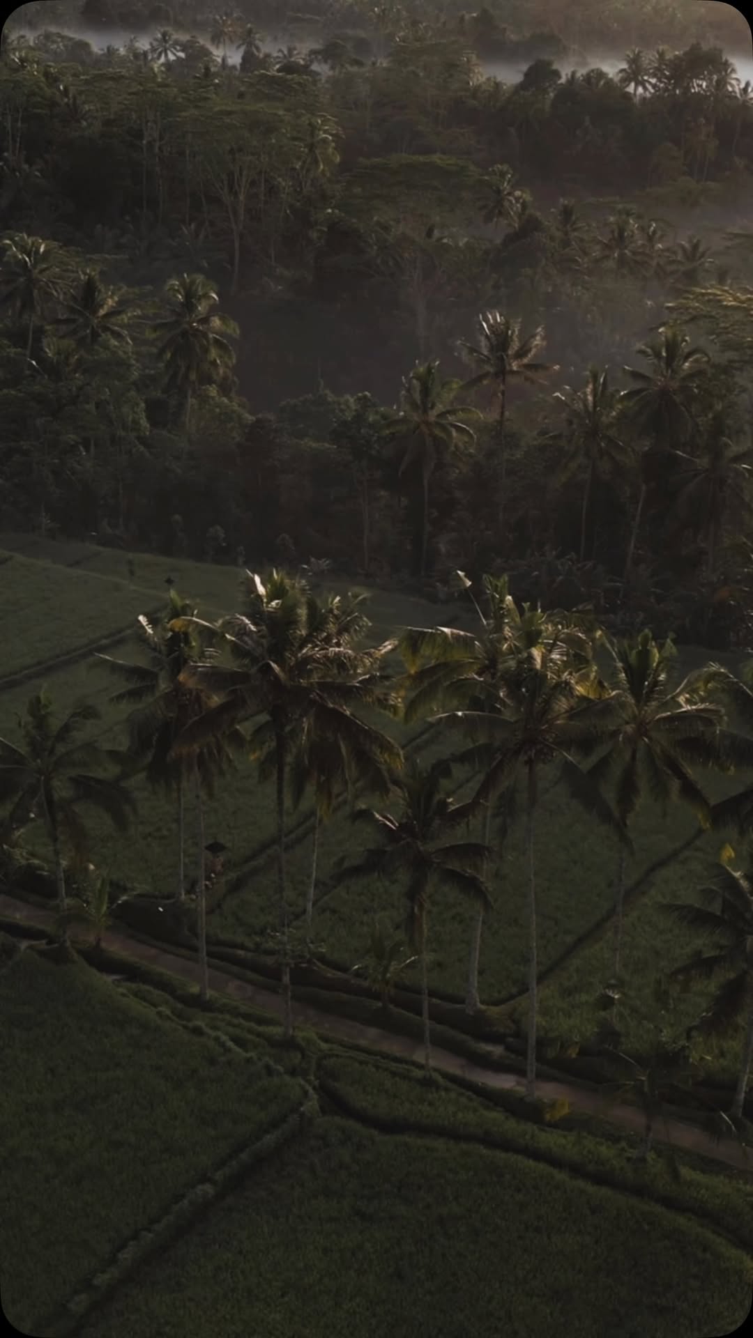 https://d2zmqyh8caa94h.cloudfront.net/creator_social_media_contents/instagram/reels/DMOJEuJz5o0/DMOJEuJz5o0.mp4
