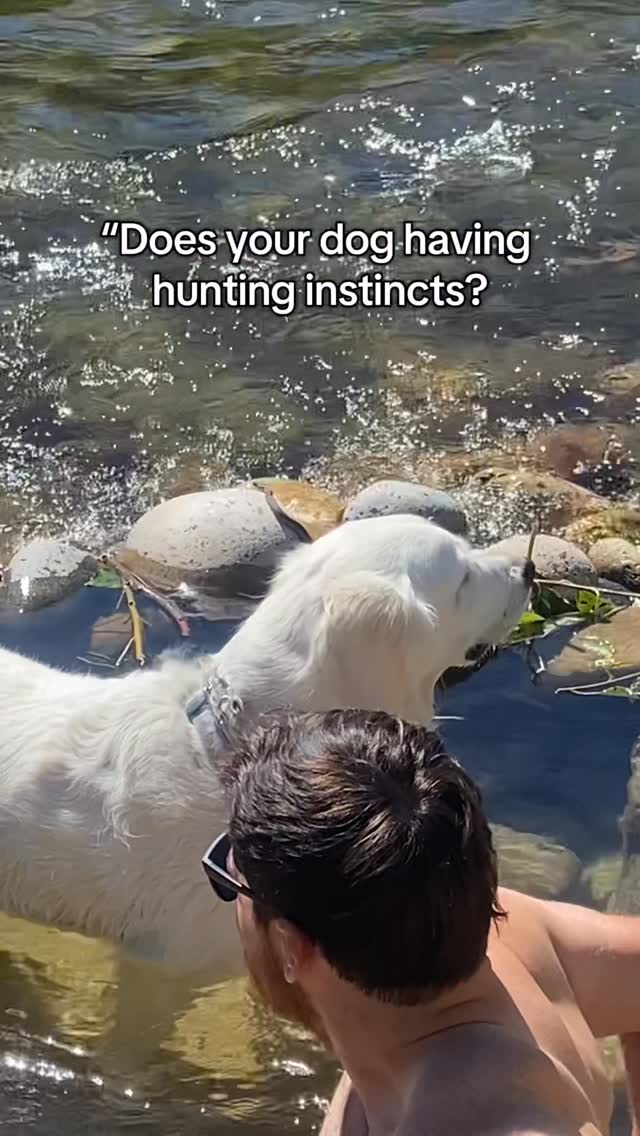 https://d2zmqyh8caa94h.cloudfront.net/creator_social_media_contents/instagram/reels/DNO_12cBVxl/DNO_12cBVxl.mp4