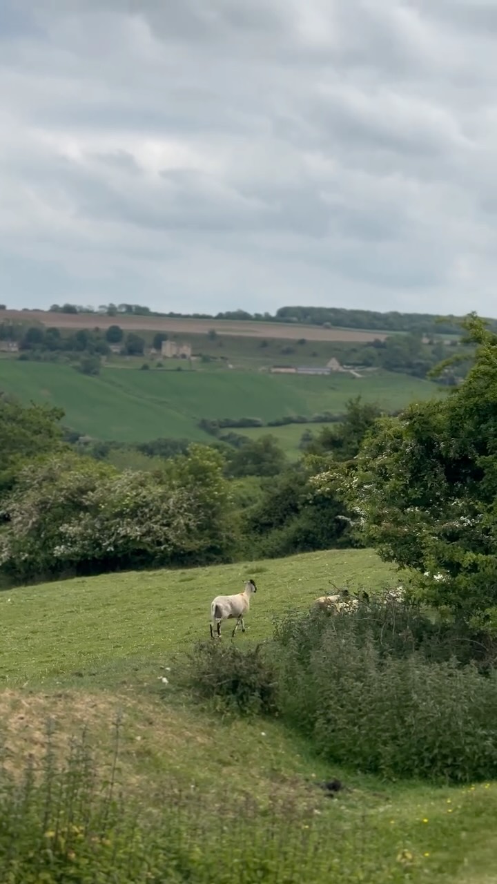 https://d2zmqyh8caa94h.cloudfront.net/creator_social_media_contents/instagram/reels/DNlPJTytTKm/DNlPJTytTKm.mp4