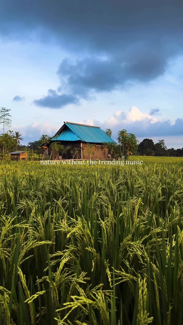 https://d2zmqyh8caa94h.cloudfront.net/creator_social_media_contents/instagram/reels/DO1BFo_kaZL/DO1BFo_kaZL.mp4