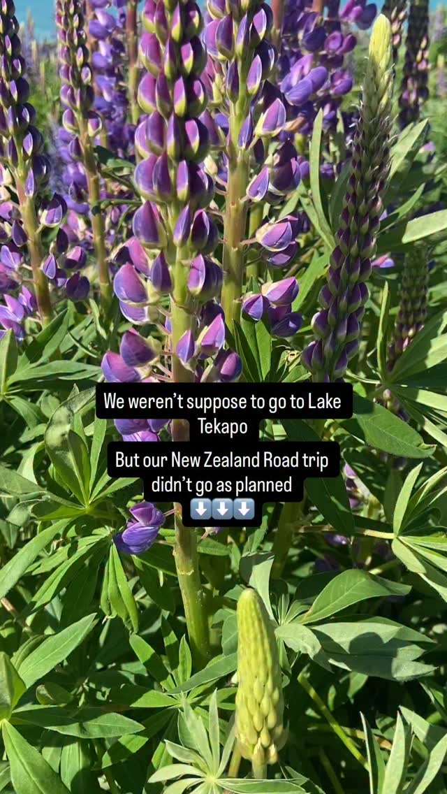 https://d2zmqyh8caa94h.cloudfront.net/creator_social_media_contents/instagram/reels/DO4o9cOD9H6/DO4o9cOD9H6.mp4