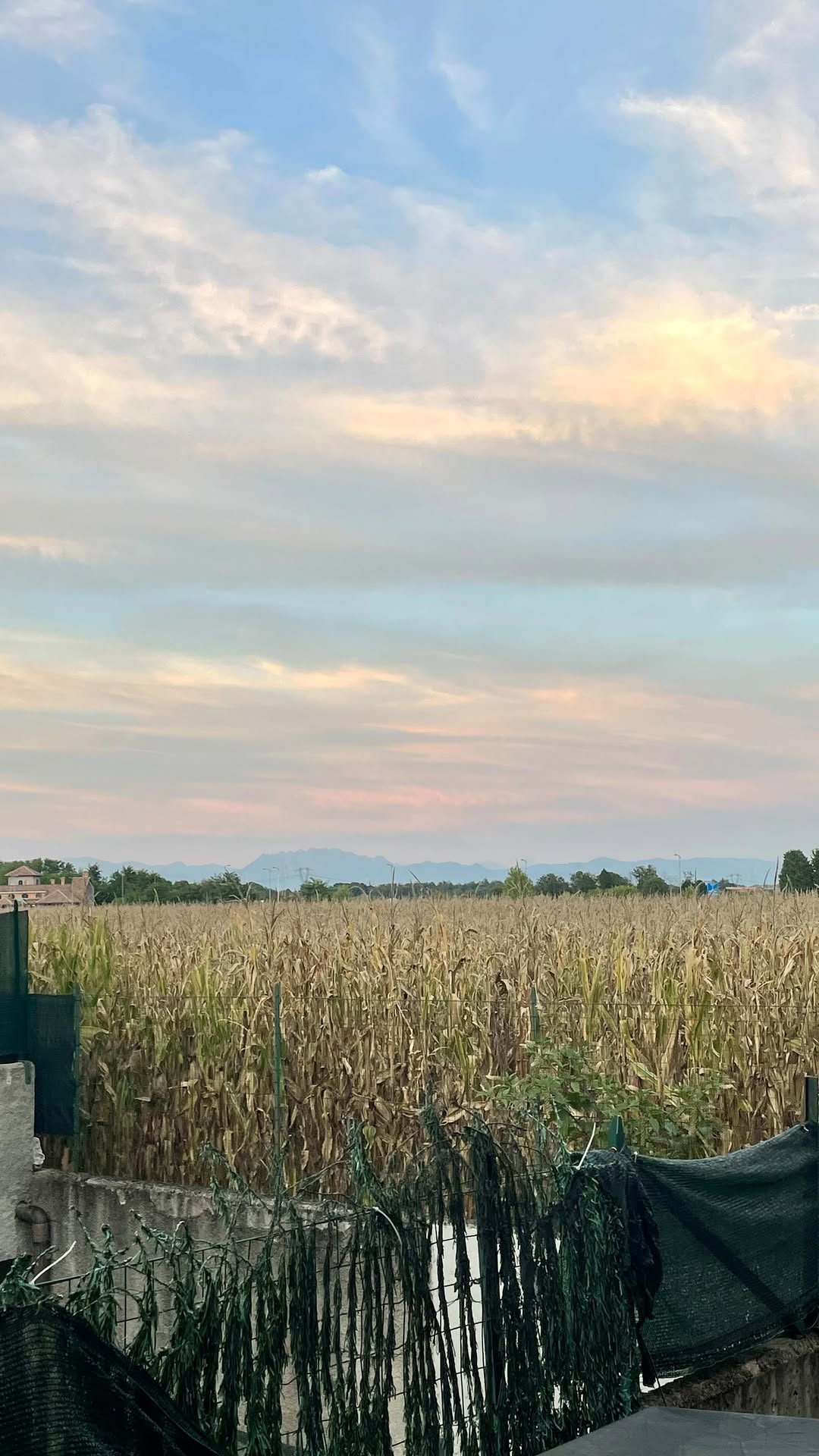 https://d2zmqyh8caa94h.cloudfront.net/creator_social_media_contents/instagram/reels/DOWReHPjNT1/DOWReHPjNT1.mp4