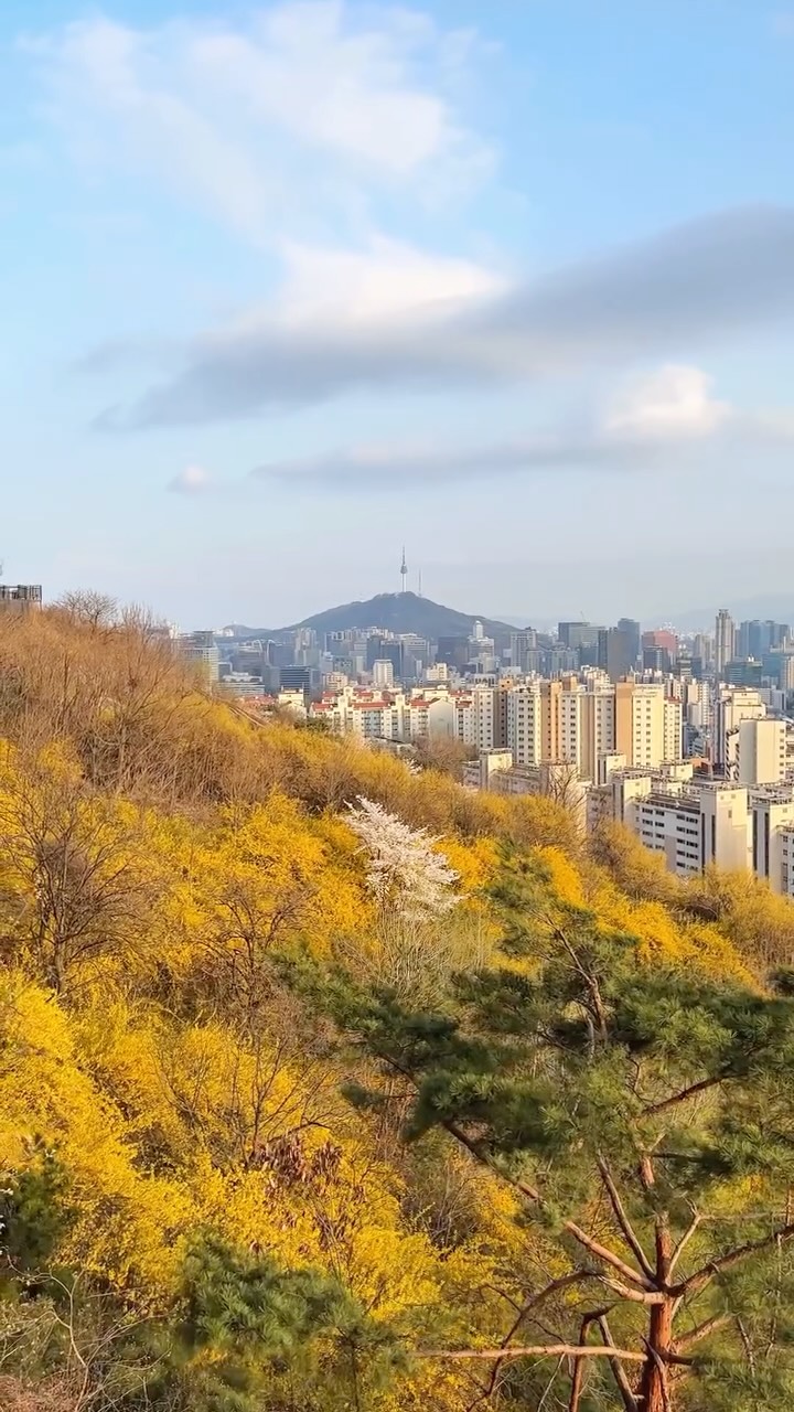 https://d2zmqyh8caa94h.cloudfront.net/creator_social_media_contents/instagram/reels/DWtbRYWCc1X/DWtbRYWCc1X.mp4