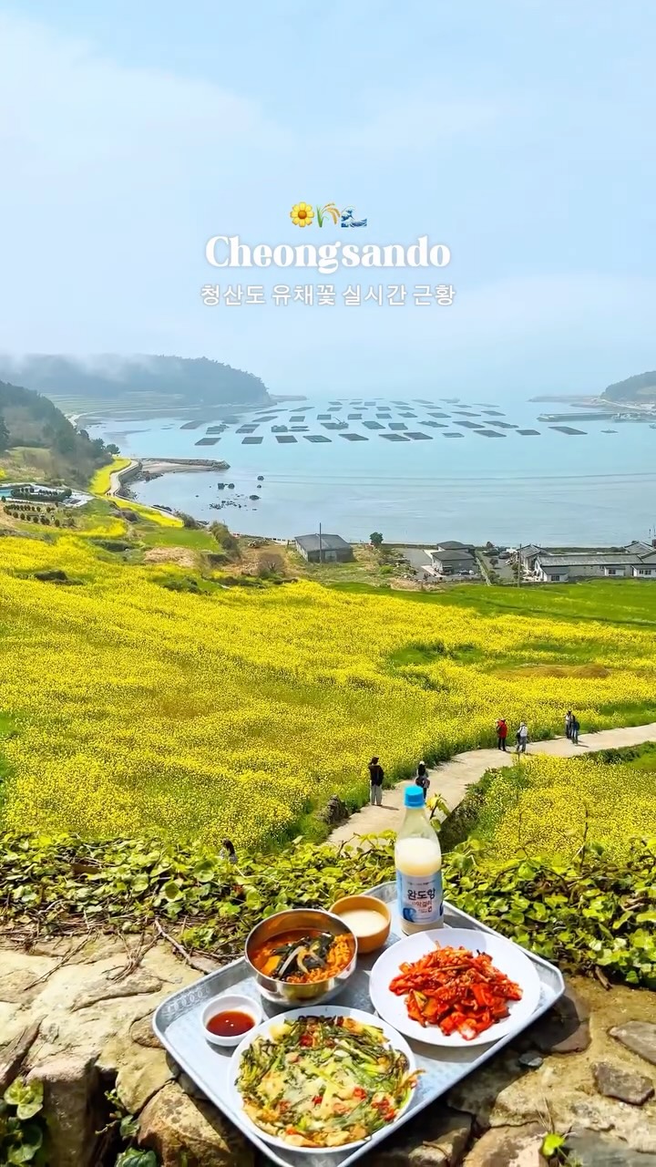 https://d2zmqyh8caa94h.cloudfront.net/creator_social_media_contents/instagram/reels/DXBadAEiSaN/DXBadAEiSaN.mp4