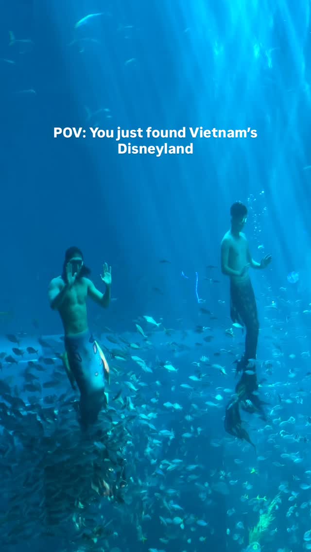 https://d2zmqyh8caa94h.cloudfront.net/creator_social_media_contents/instagram/reels/DXK6Plhj6XX/DXK6Plhj6XX.mp4