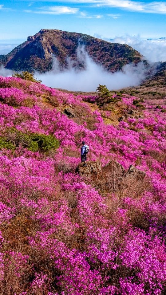 https://d2zmqyh8caa94h.cloudfront.net/creator_social_media_contents/instagram/reels/DXYDhbuiYmG/DXYDhbuiYmG.mp4
