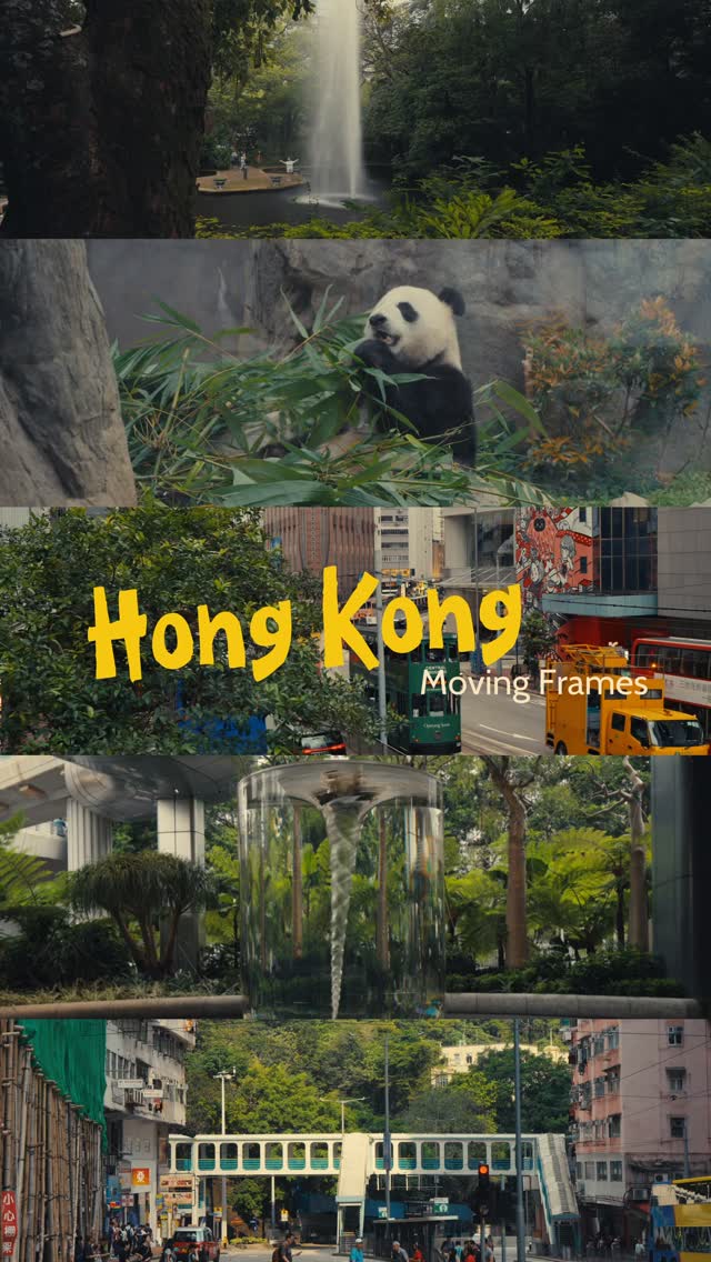 https://d2zmqyh8caa94h.cloudfront.net/creator_social_media_contents/instagram/reels/DYR5nlhz6UY/DYR5nlhz6UY.mp4