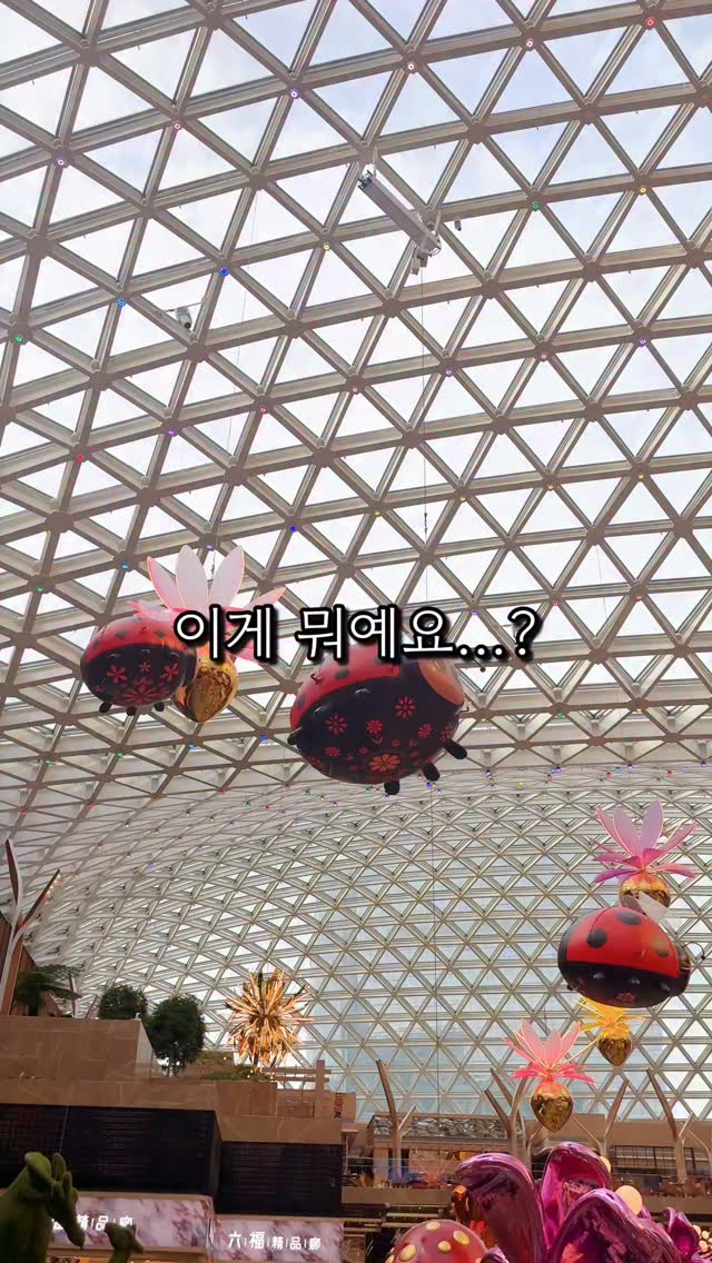 https://d2zmqyh8caa94h.cloudfront.net/creator_social_media_contents/instagram/reels/DbS3hxlJcGb/DbS3hxlJcGb.mp4