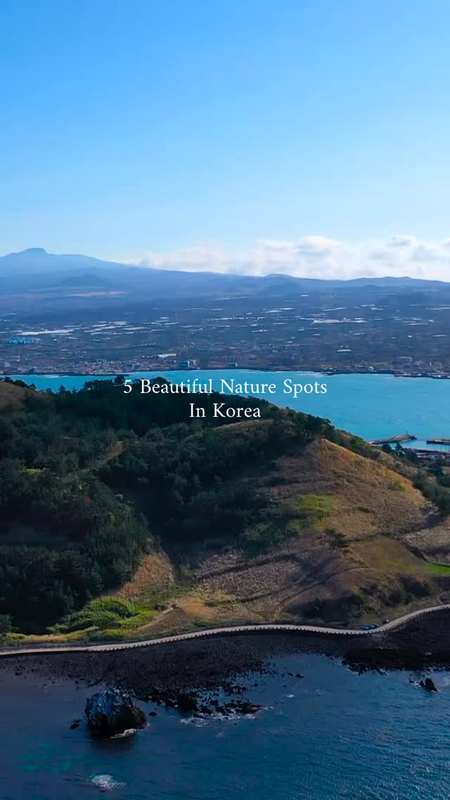 https://d2zmqyh8caa94h.cloudfront.net/creator_social_media_contents/instagram/reels/DbWL5mjsLrl/DbWL5mjsLrl.mp4