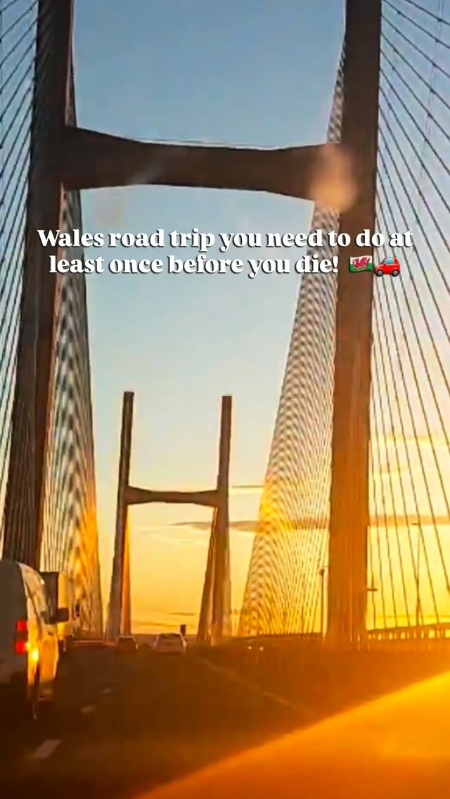 https://d2zmqyh8caa94h.cloudfront.net/creator_social_media_contents/instagram/reels/DcTzDT2iey1/DcTzDT2iey1.mp4