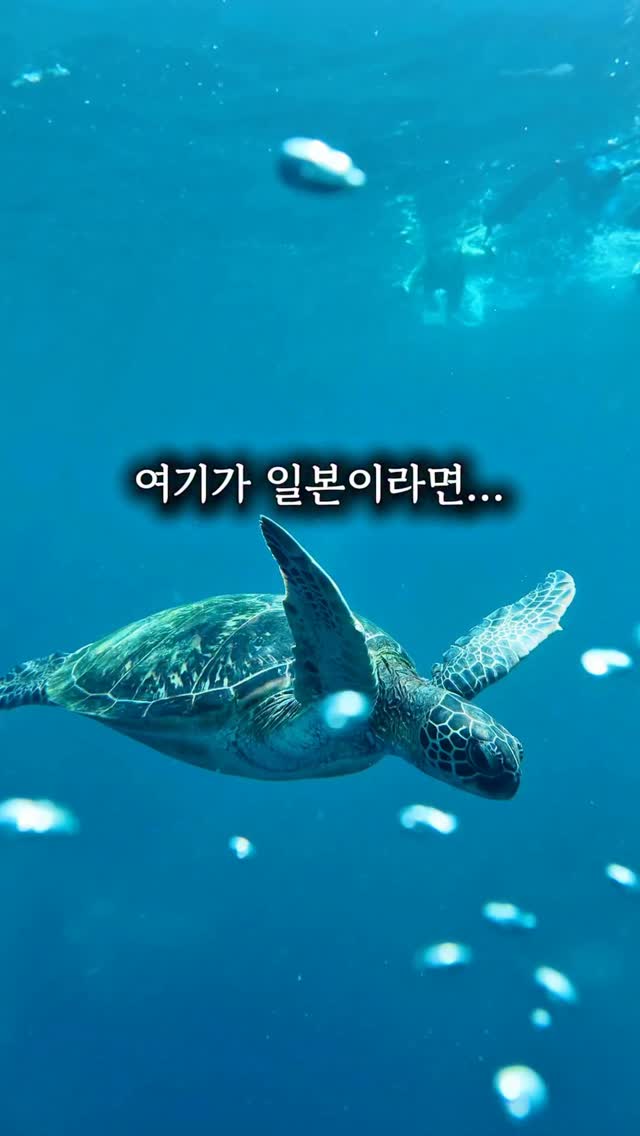 https://d2zmqyh8caa94h.cloudfront.net/creator_social_media_contents/instagram/reels/DcYY7Depxae/DcYY7Depxae.mp4