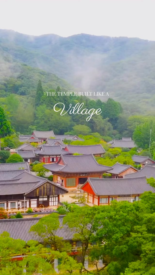 https://d2zmqyh8caa94h.cloudfront.net/creator_social_media_contents/instagram/reels/Dcd-HRmM9ln/Dcd-HRmM9ln.mp4